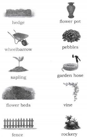 Class 8 English Poorvi Chapter 2 A Concrete Example Question Answer