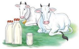 Class 8 English Poorvi Chapter 6 Verghese Kurien- I Too Had A Dream Question Answer